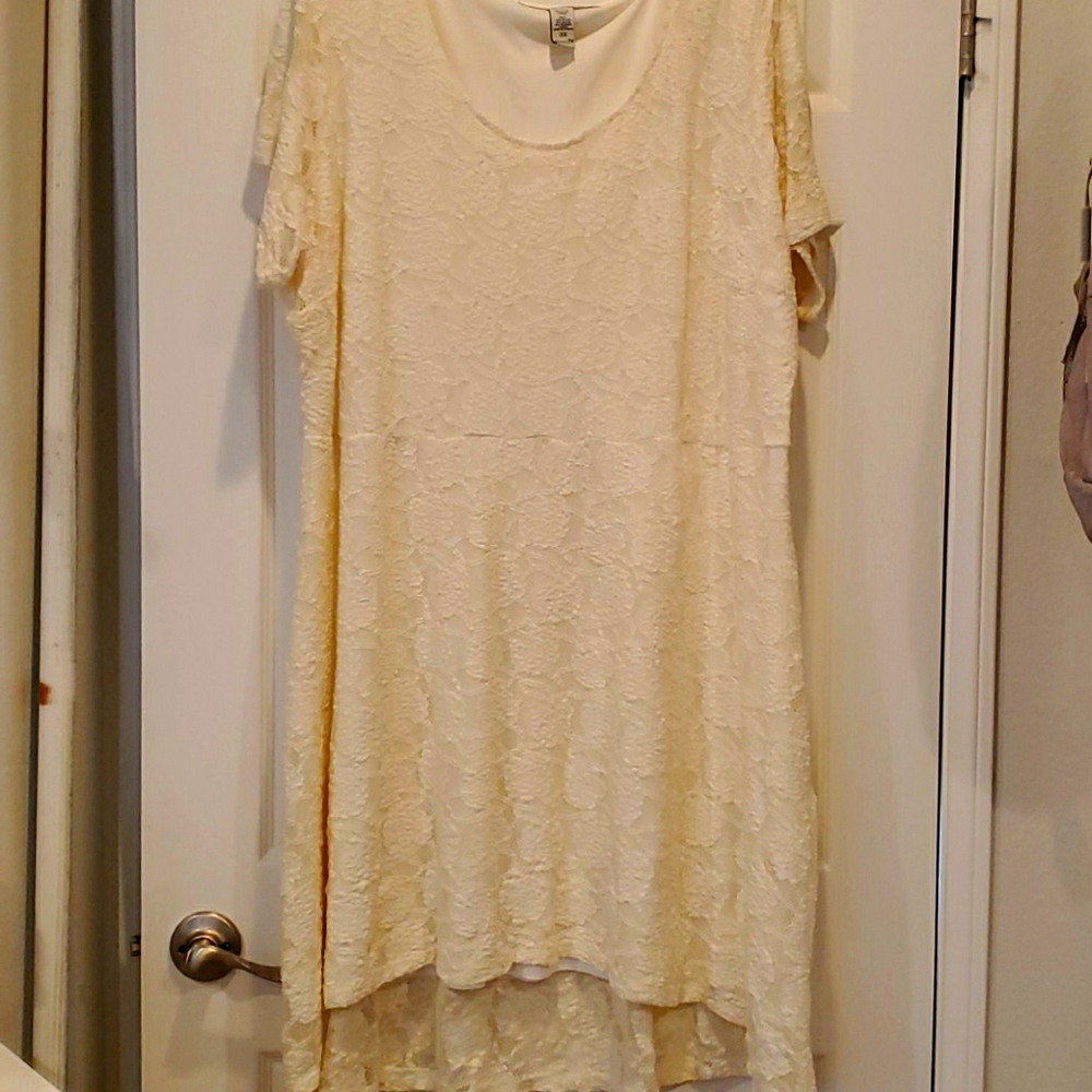 All over Embroidered Skater Dress